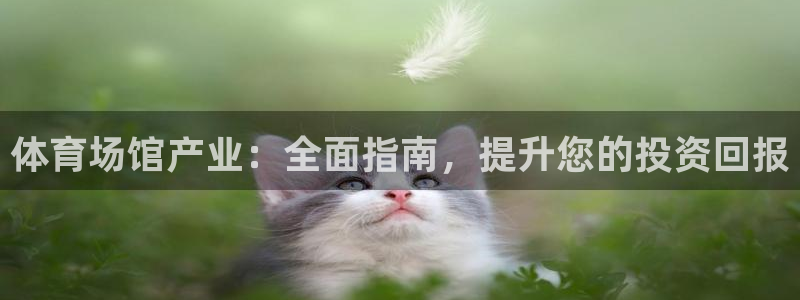 凯时k8官网首页
