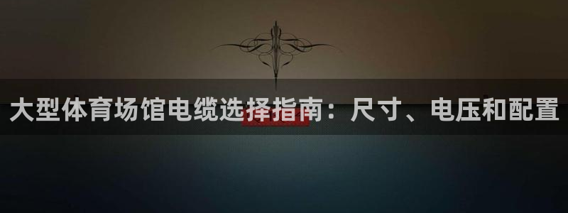 尊龙凯时充十万返现多少：大型体育场馆电缆选择指南：尺寸、电压