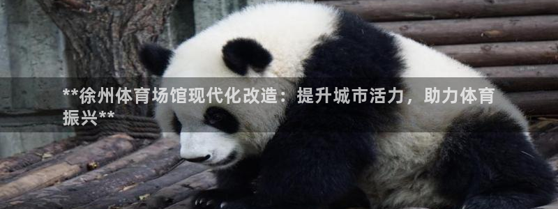 尊龙凯时代理官网入口：**徐州体育场馆现代化改造：提升城市活