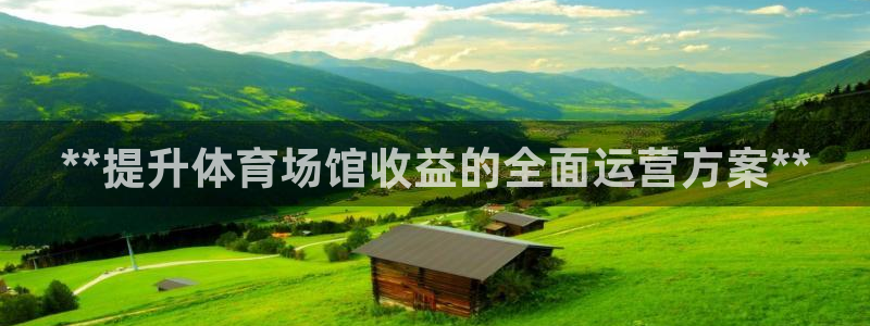 尊龙 下载：**提升体育场馆收益的全面运营方案**