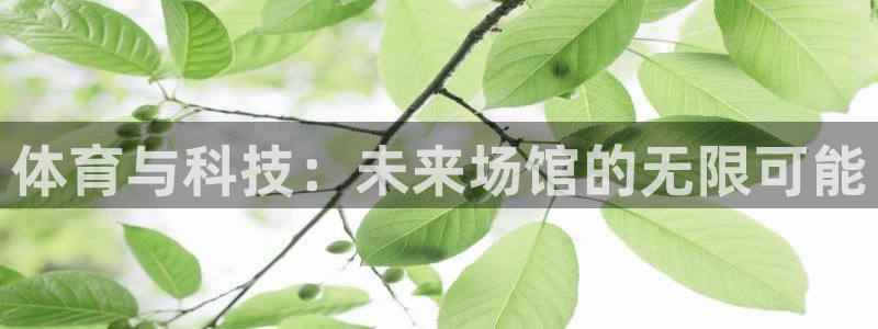 尊龙凯时可以提现吗
