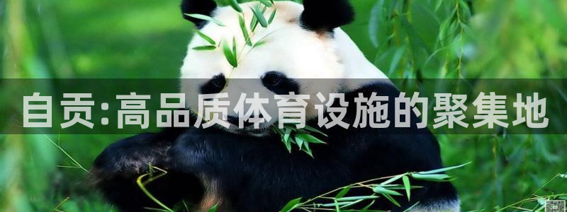 尊龙凯时泰安