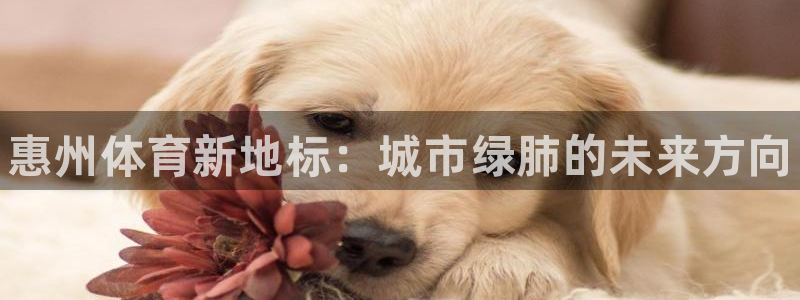 尊龙d88现金可来就送38