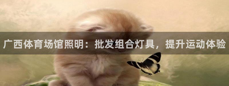 尊龙新版手机app下载：广西体育场馆照明：批发组合灯具，提升