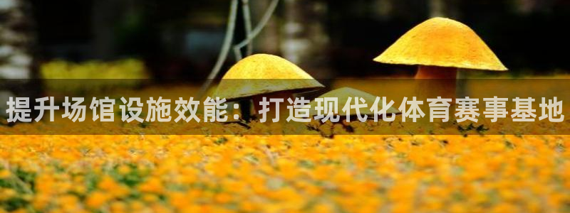 凯时k8官网首页