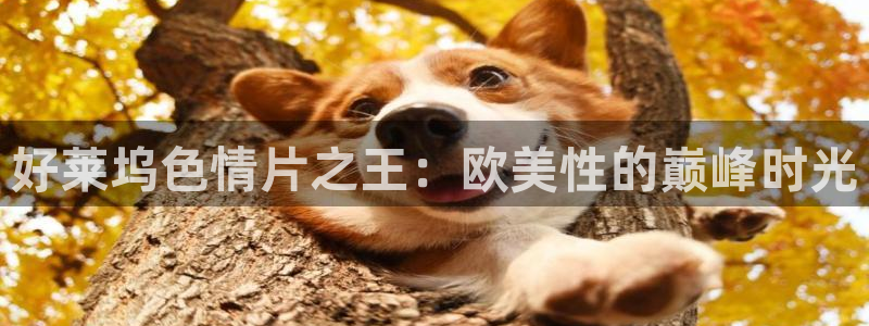 真不卡影视下载：好莱坞色情片之王：欧美性的巅峰时光