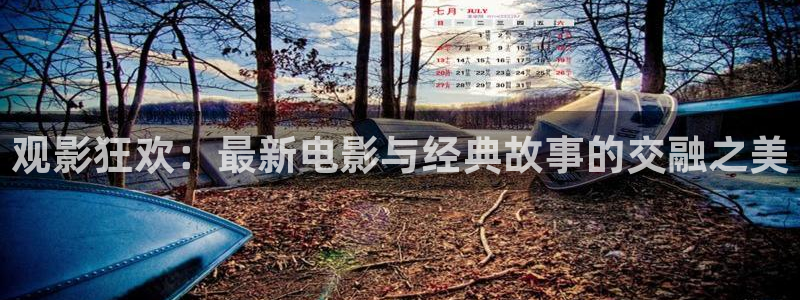 真不卡影视app：观影狂欢：最新电影与经典故事的交融之美