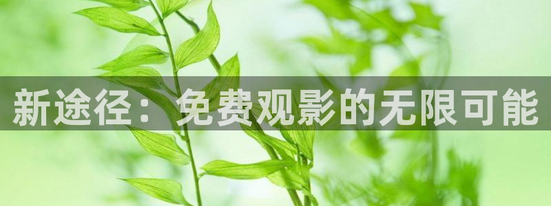 真不卡影视网站：新途径：免费观影的无限可能