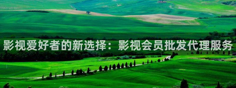 真不卡影院在线：影视爱好者的新选择：影视会员批发代理服务