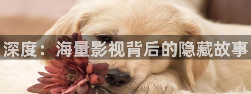 真不卡影院吧：深度：海量影视背后的隐藏故事