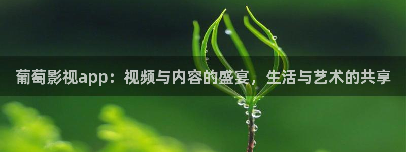 真不卡影视在线：葡萄影视app：视频与内容的盛宴，生活与艺术的共享
