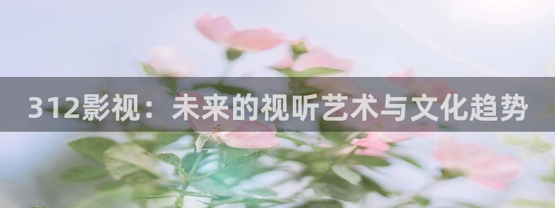 真不卡影院手机：312影视：未来的视听艺术与文化趋势